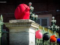 IMG 7264